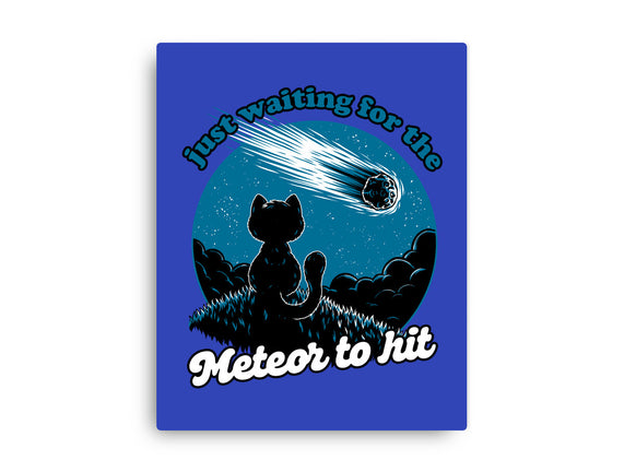 Cat Waiting The Meteor