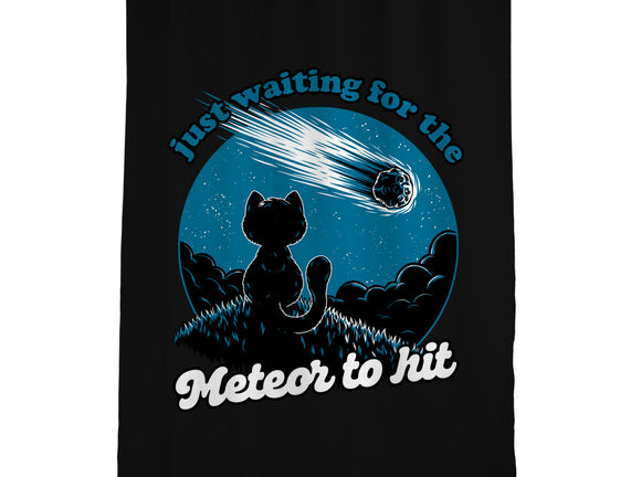 Cat Waiting The Meteor