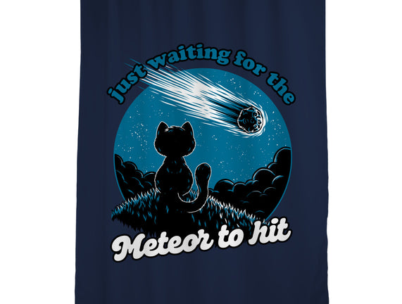 Cat Waiting The Meteor