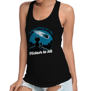 Cat Waiting The Meteor