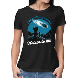 Cat Waiting The Meteor