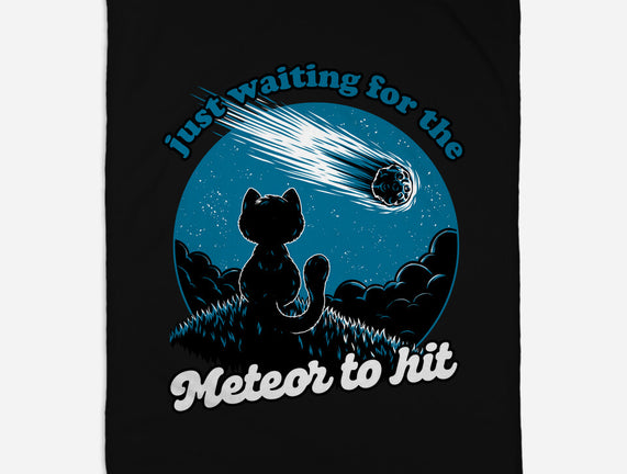 Cat Waiting The Meteor