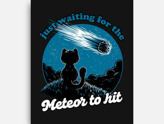 Cat Waiting The Meteor