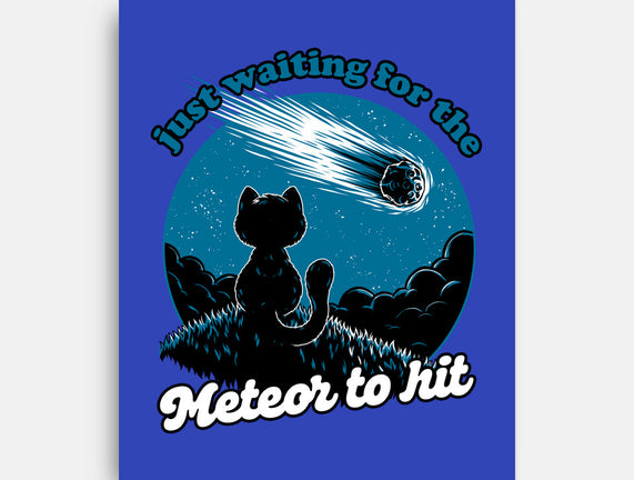 Cat Waiting The Meteor