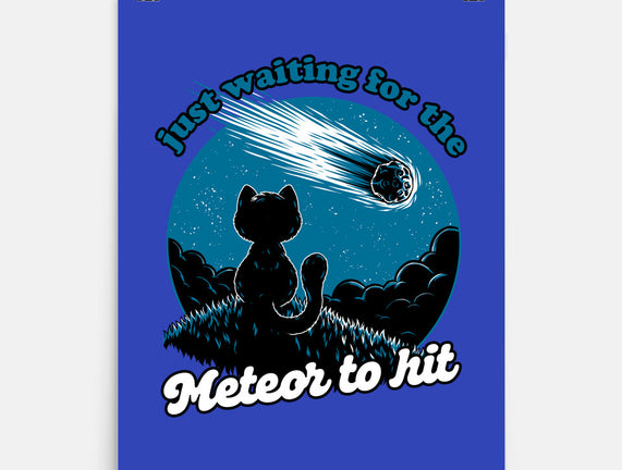 Cat Waiting The Meteor