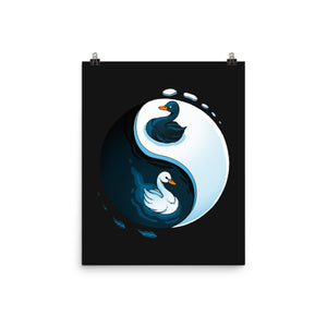 Swan White And Black