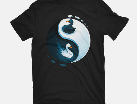 Swan White And Black