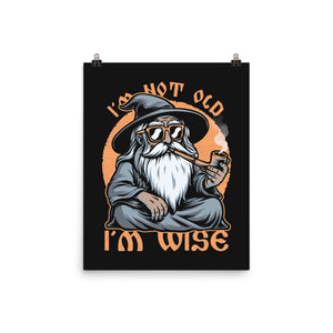 Wise Old Wizard