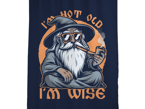 Wise Old Wizard