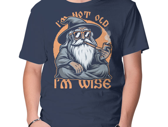 Wise Old Wizard