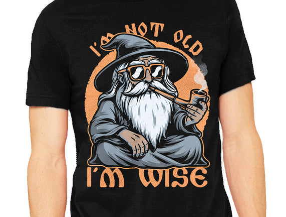 Wise Old Wizard