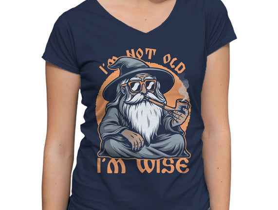 Wise Old Wizard