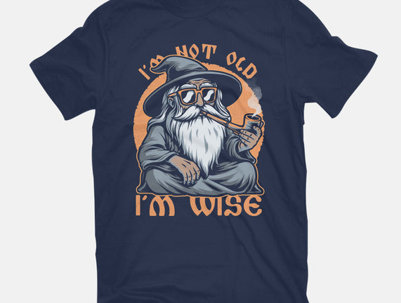 Wise Old Wizard