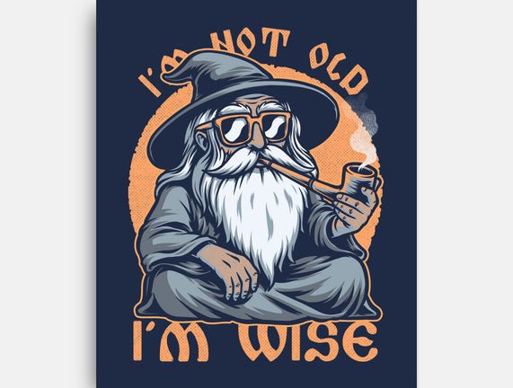 Wise Old Wizard