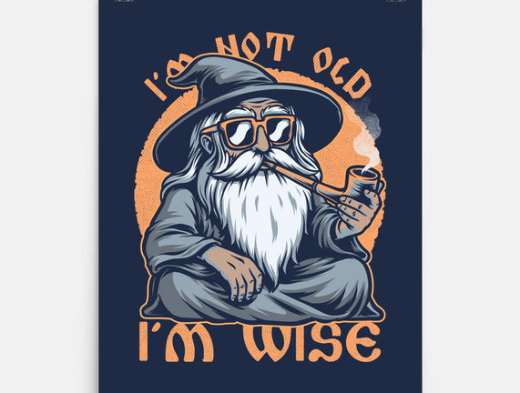 Wise Old Wizard