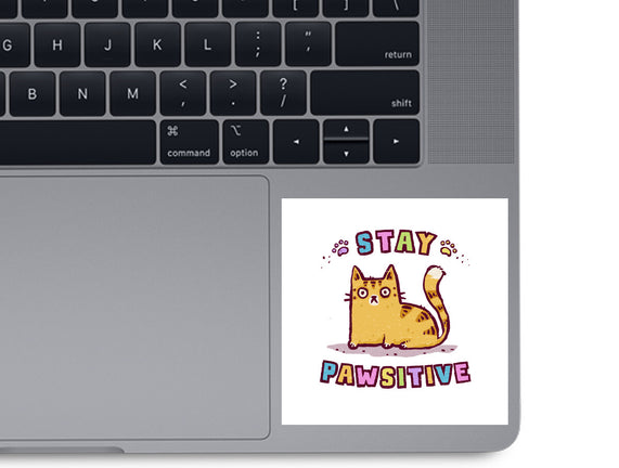 Stay Pawsitive