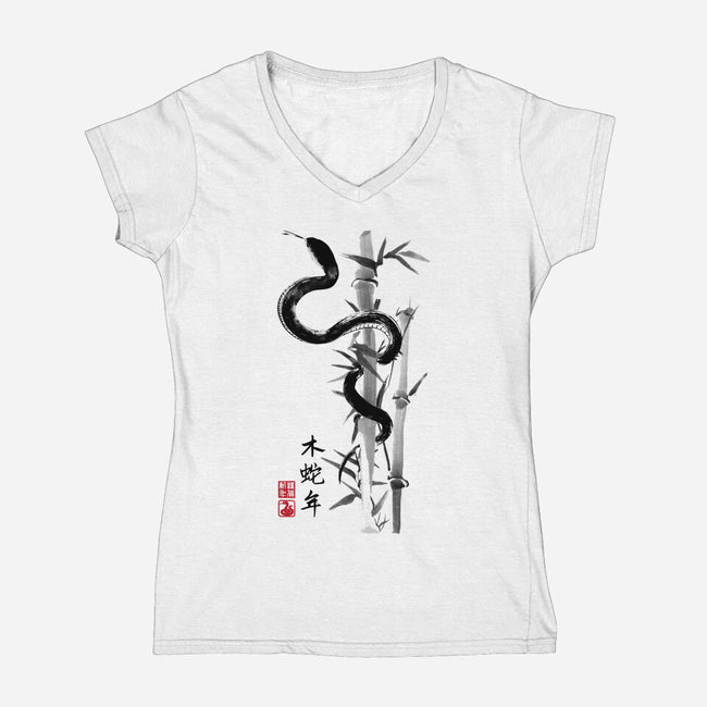 Year Of The Snake Sumi-e-Womens-V-Neck-Tee-DrMonekers