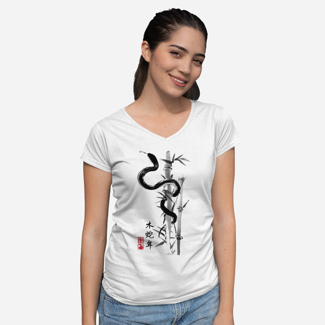 Year Of The Snake Sumi-e-Womens-V-Neck-Tee-DrMonekers