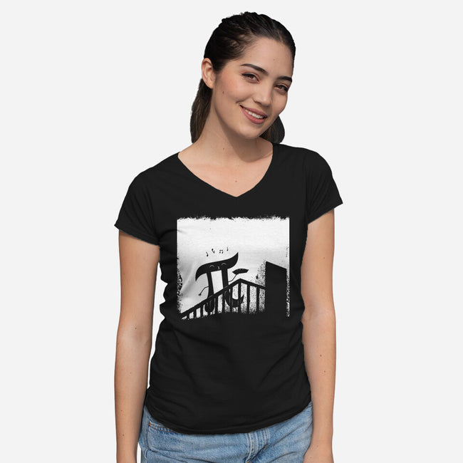 NosPIratu-Womens-V-Neck-Tee-Boggs Nicolas