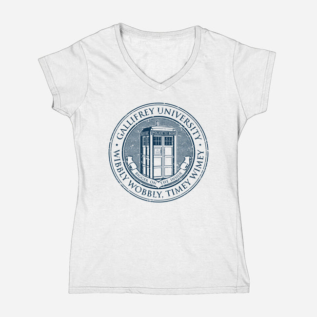 Timeless University-Womens-V-Neck-Tee-retrodivision