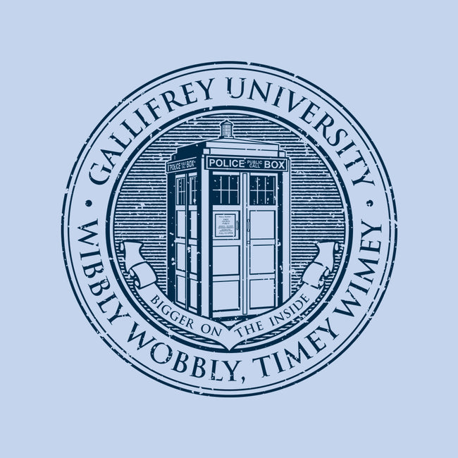 Timeless University-Womens-Basic-Tee-retrodivision