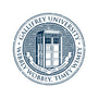 Timeless University-Womens-V-Neck-Tee-retrodivision