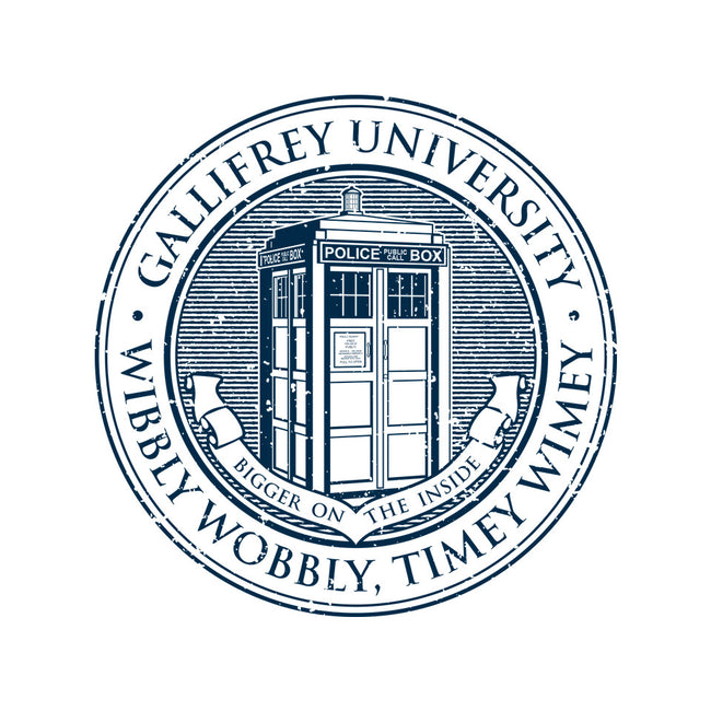 Timeless University-Womens-Basic-Tee-retrodivision