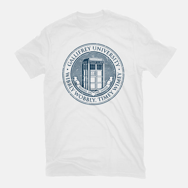 Timeless University-Mens-Premium-Tee-retrodivision