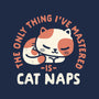 Cat Naps-None-Removable Cover w Insert-Throw Pillow-Nemons