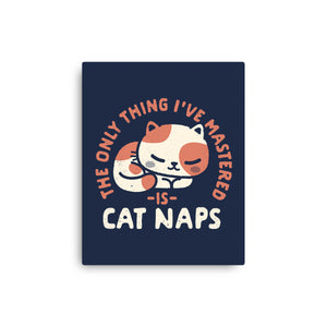 Cat Naps