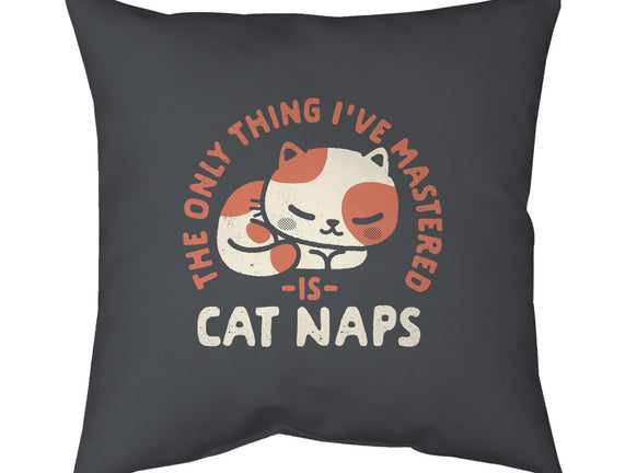 Cat Naps