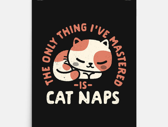 Cat Naps