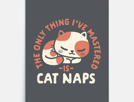 Cat Naps