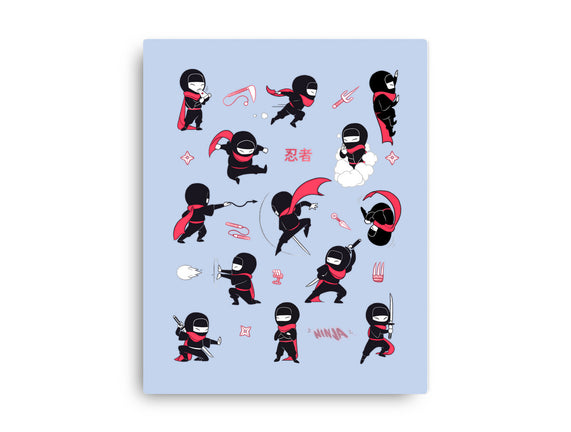 Little Ninjas