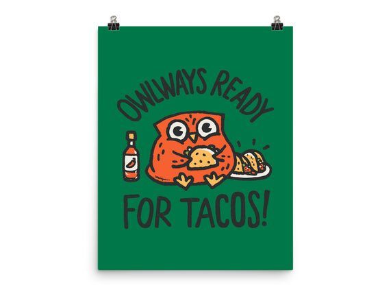 Owlways Ready For Tacos