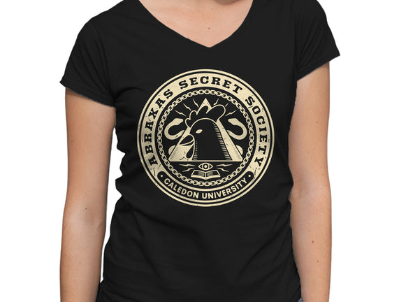 Abraxas Secret Society Grunge