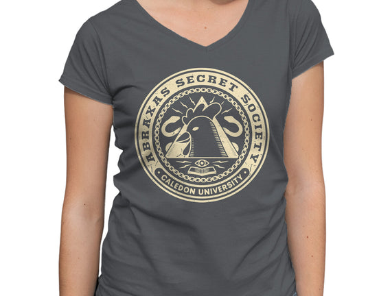 Abraxas Secret Society Grunge