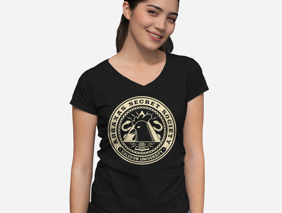 Abraxas Secret Society Grunge