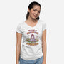 A Ray Of Freaking Sunshine-Womens-V-Neck-Tee-kg07