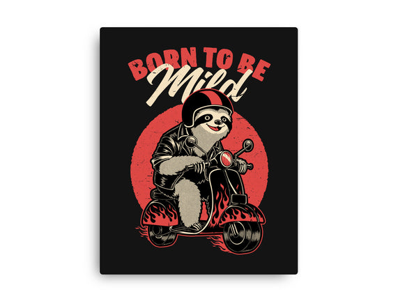 Radical Sloth Biker