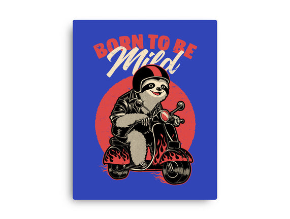 Radical Sloth Biker