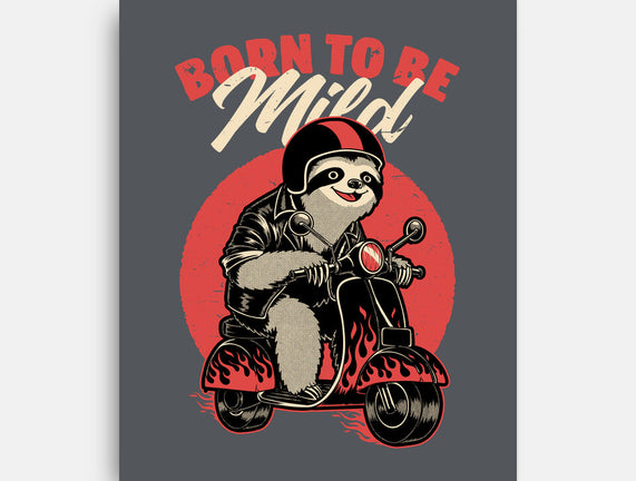 Radical Sloth Biker