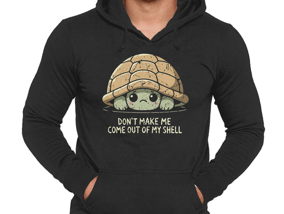 Timid Turtle