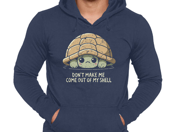 Timid Turtle
