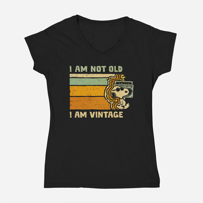 Vintage Vibes-Womens-V-Neck-Tee-kg07