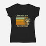 Vintage Vibes-Womens-V-Neck-Tee-kg07