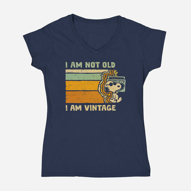 Vintage Vibes-Womens-V-Neck-Tee-kg07