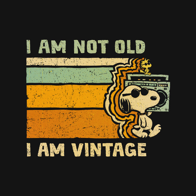 Vintage Vibes-None-Fleece-Blanket-kg07