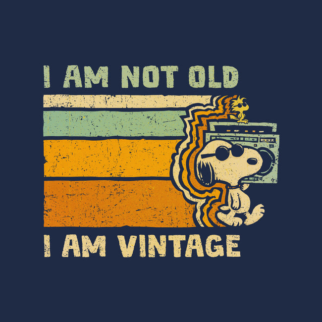 Vintage Vibes-None-Fleece-Blanket-kg07