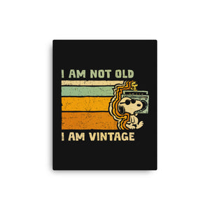 Vintage Vibes